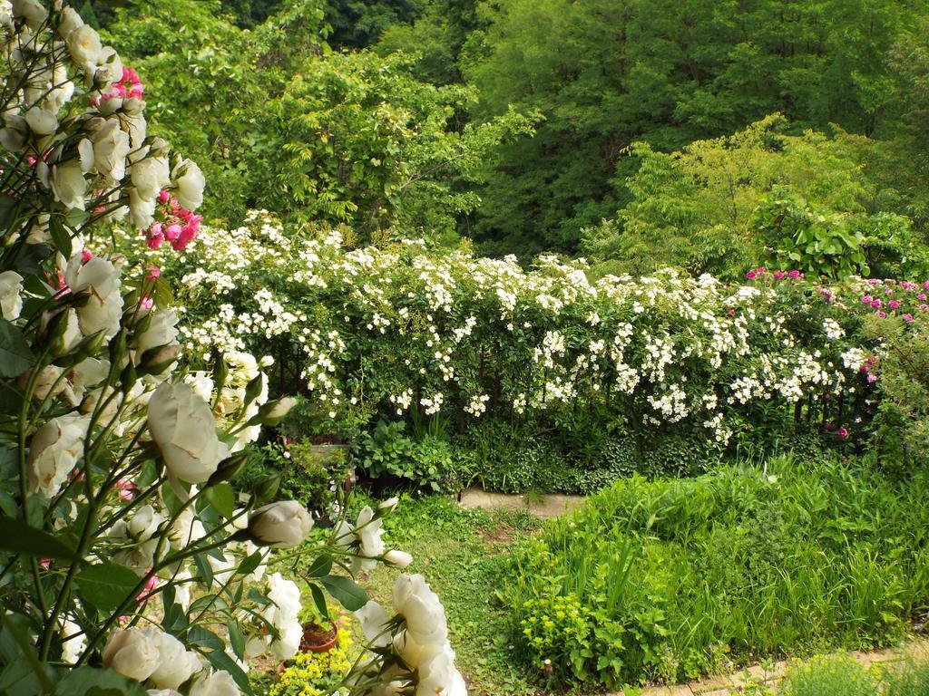 Pension Apple Kaminoyama Buitenkant foto